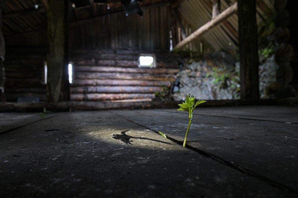 Photograph by Валентин Казанцев