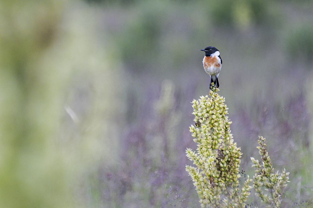 Photograph by Валентин Казанцев