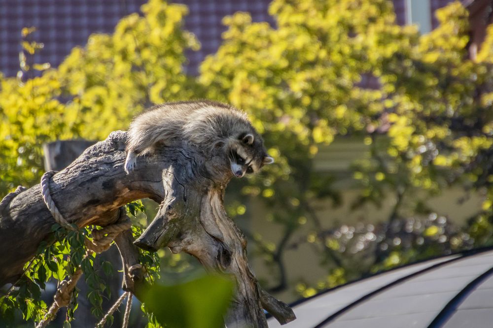 Photograph by Константин Чижов