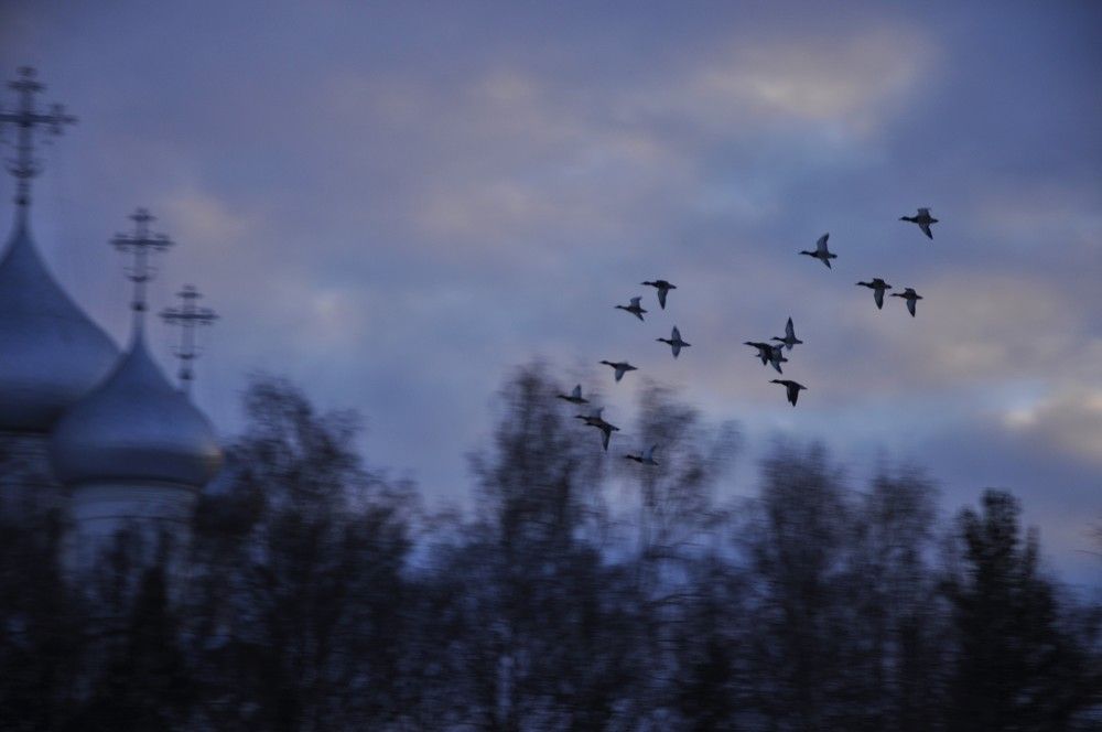 Photograph by Ольга Струкалина