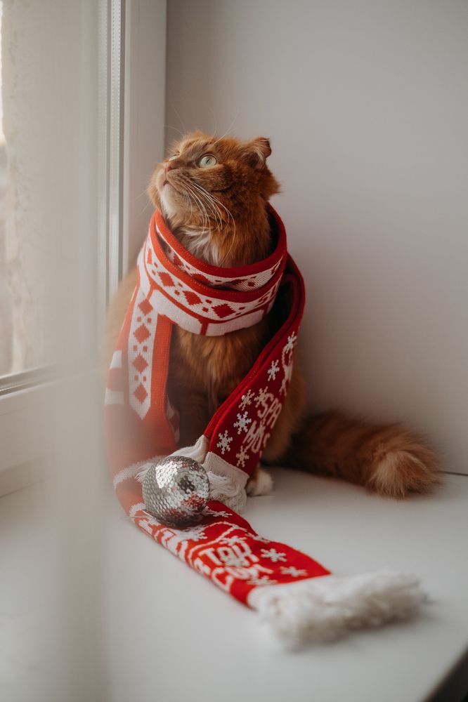 Photograph by Tyshkanchik