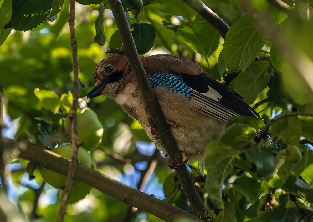 Photograph by Евгений Гонтов