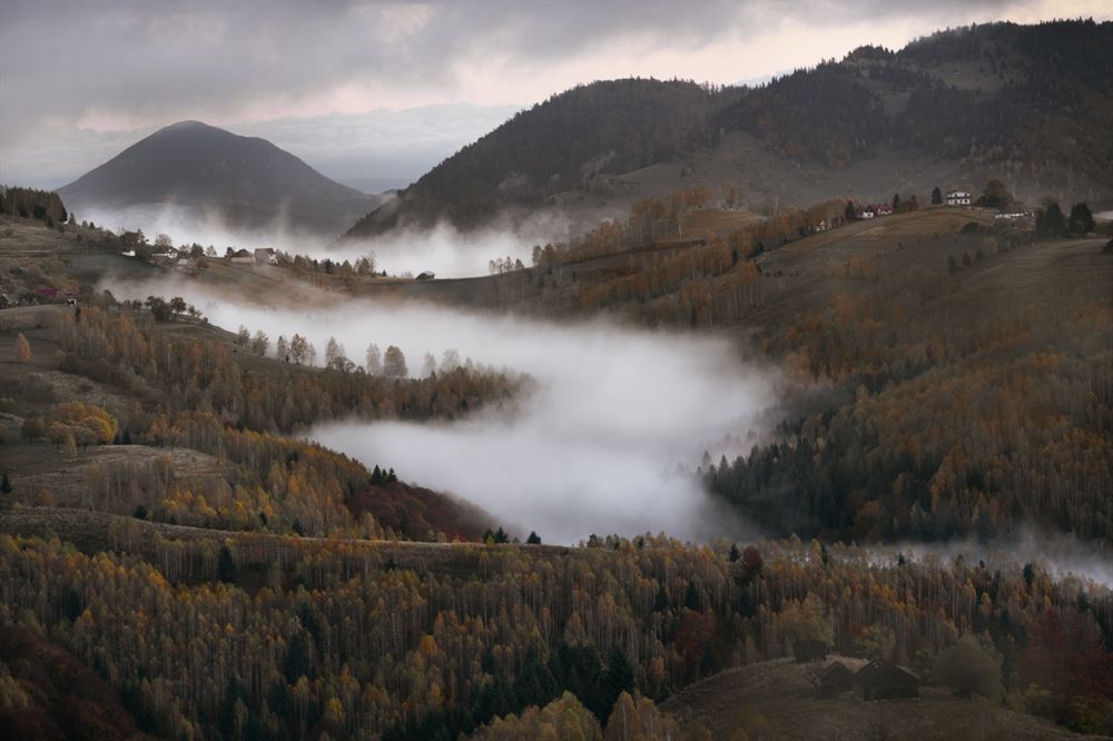 Photograph by Gabriela Vochescu