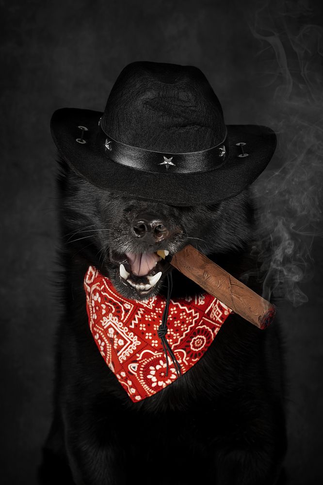 Photograph by Anna Oris