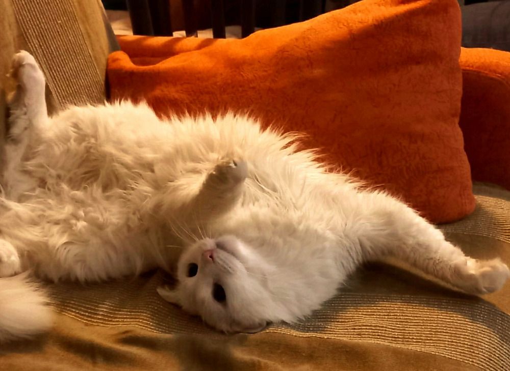 Photograph by Егорова Анфиса Александровна