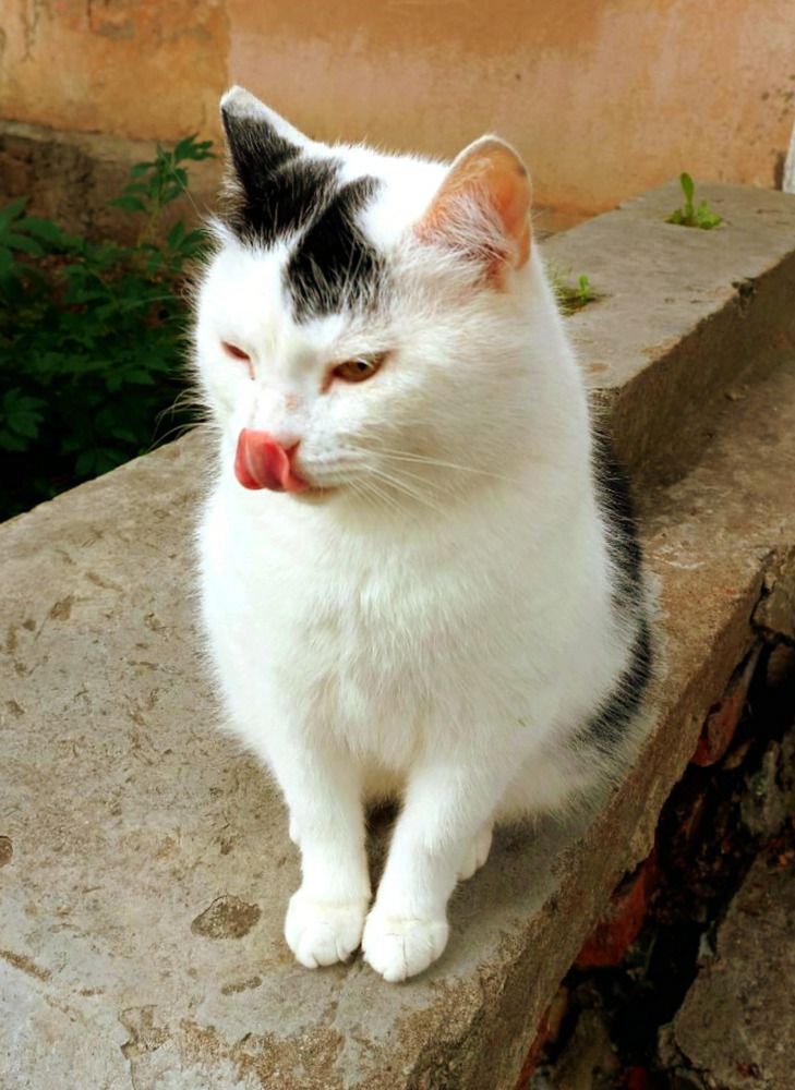 Photograph by Егорова Анфиса Александровна