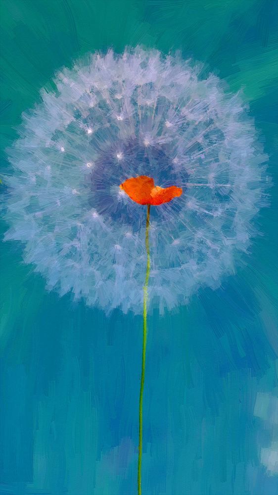 Photograph by Vyacheslav Popov