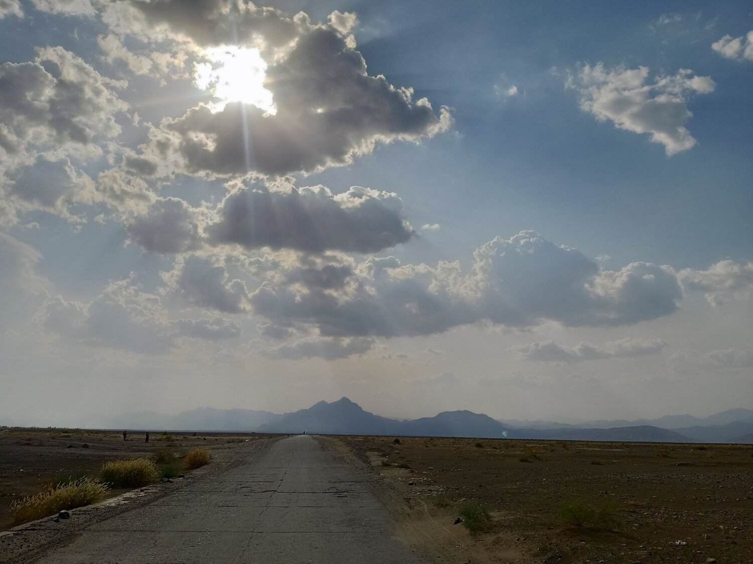 Photo #9796772