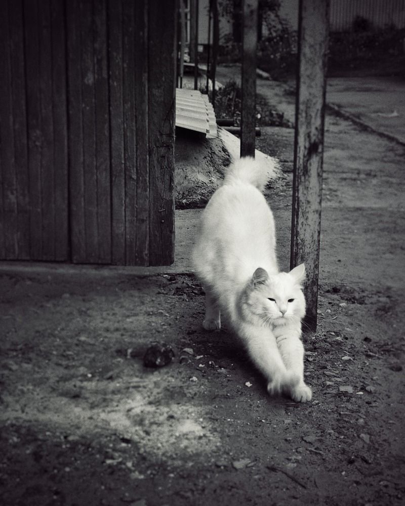 Photograph by Татьяна Штунь