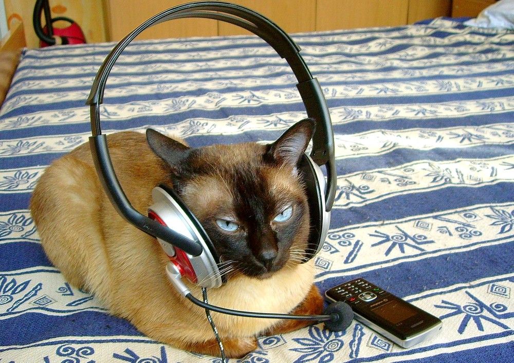 Photograph by Vyacheslav Popov