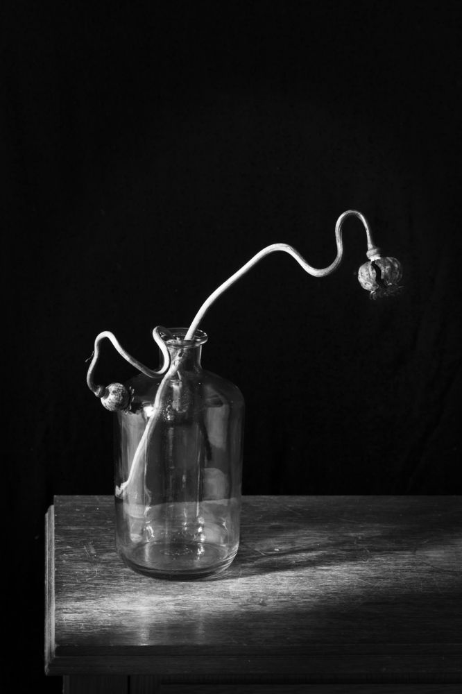 Фотография автора Uljana Kuchar