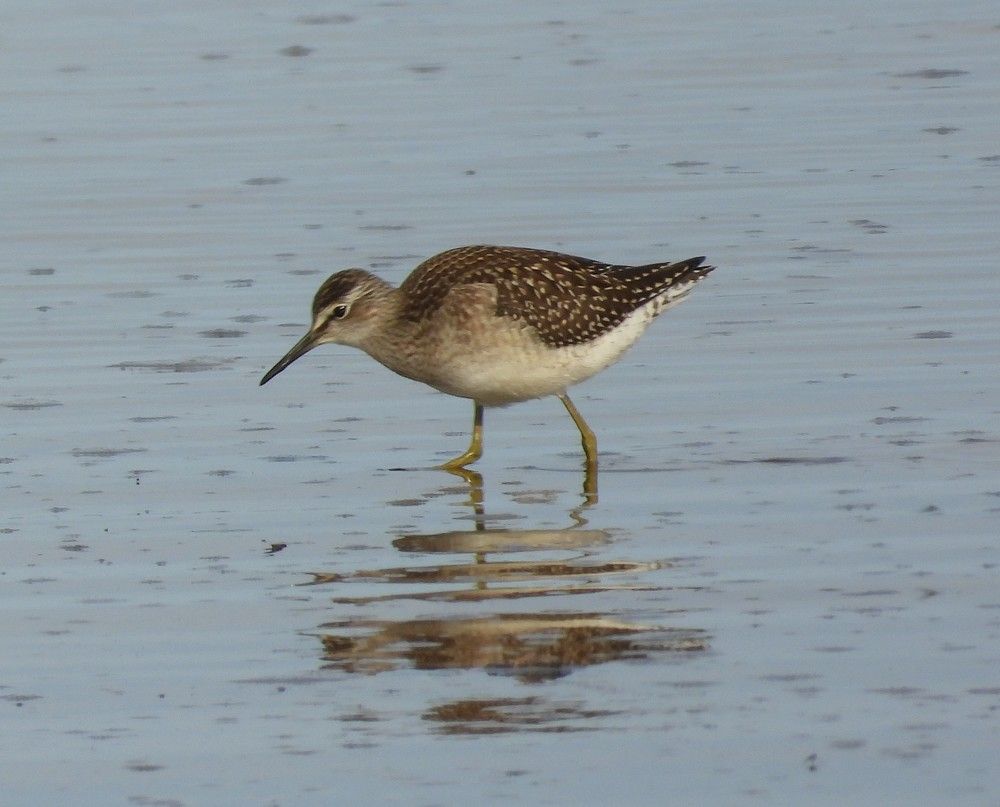 Photograph by Владимир Джерихов
