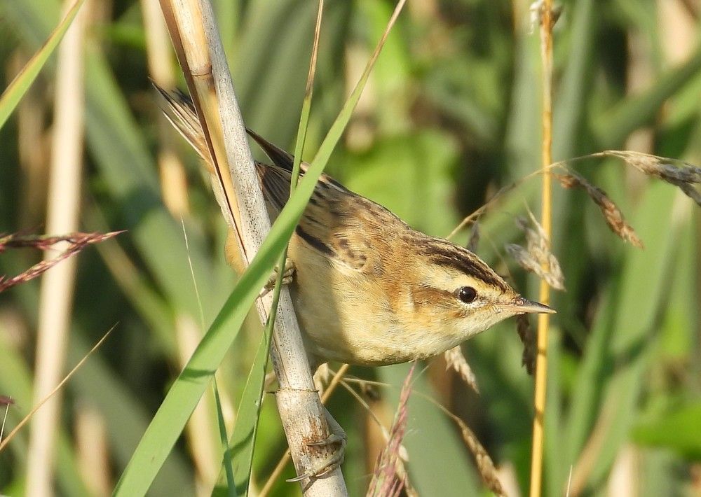 Photograph by Владимир Джерихов