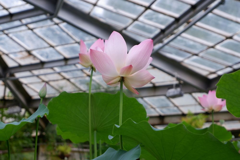 Photograph by Надежда Ульянова