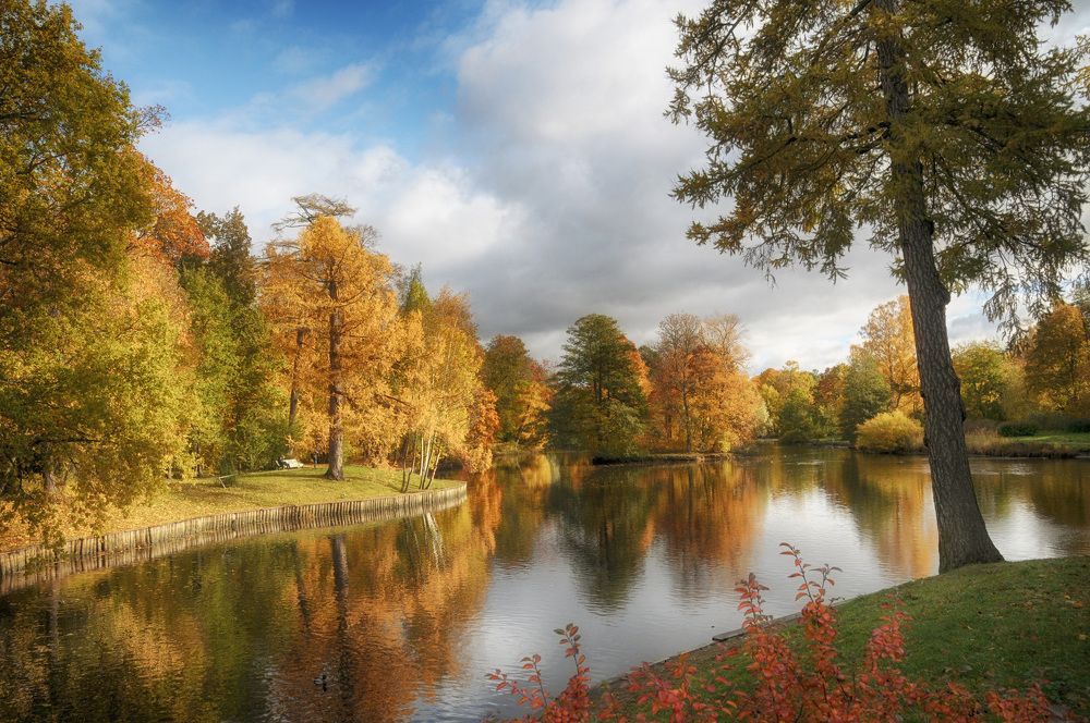 Золотая осень