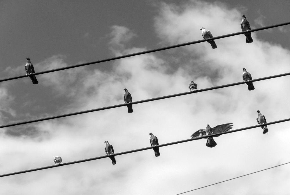 Photograph by gustavo gatto