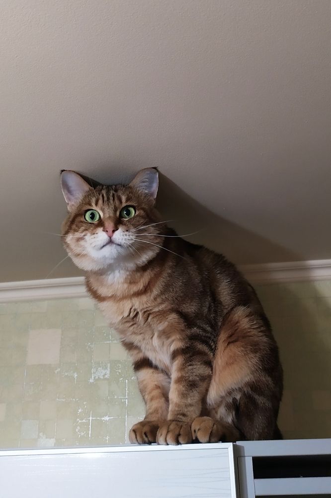 Photograph by Татьяна Штунь