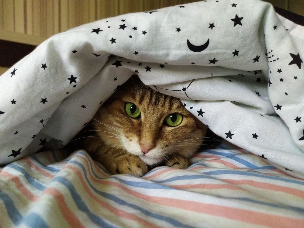 Photograph by Татьяна Штунь