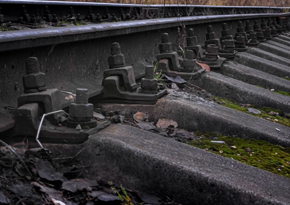 Photograph by Игорь Смирнов