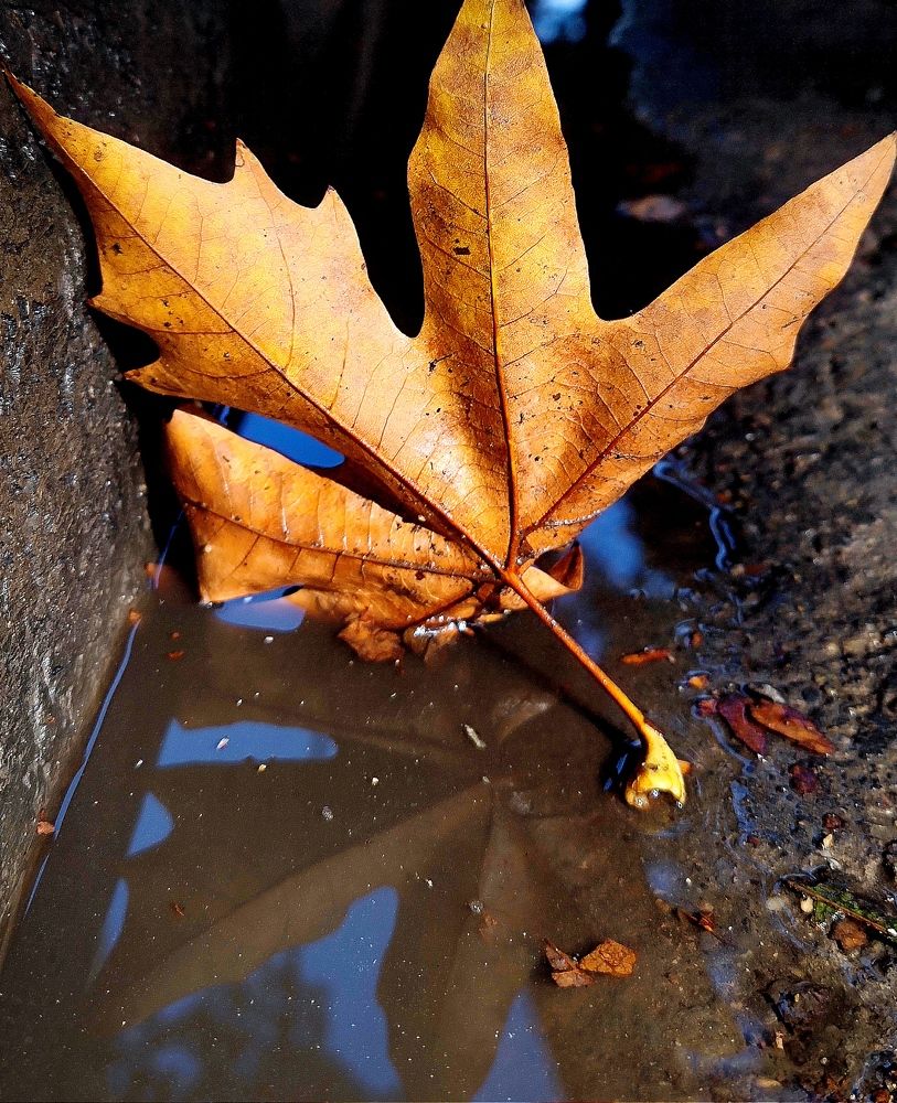 Photograph by kamran shirani