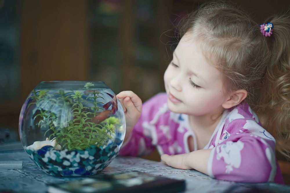 Photograph by Валерий Коновалов