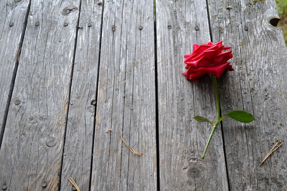 Photograph by Марина Стародуб