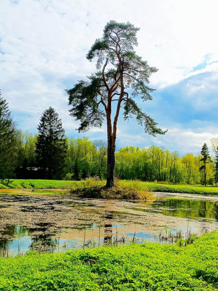 Photograph by Евгений Карпов