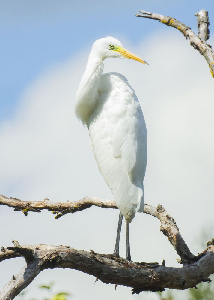 Photograph by Алексей Борисов