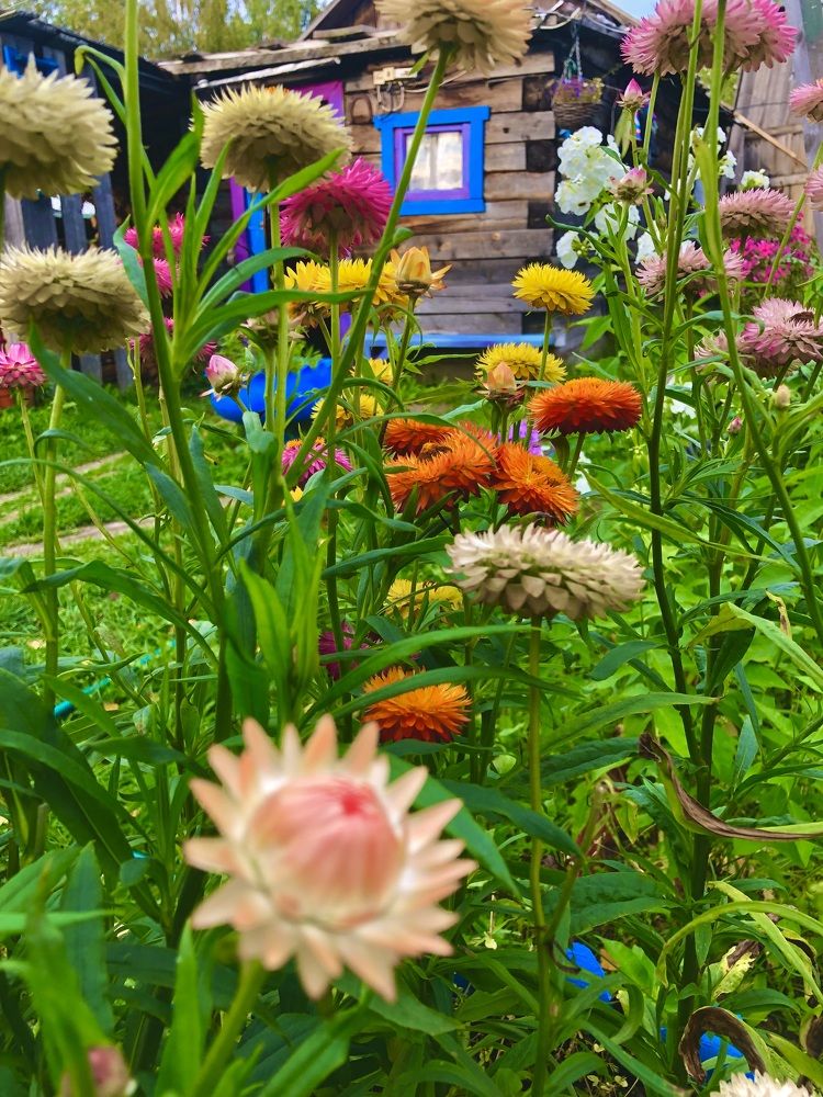 Photograph by Олеся Семёнова