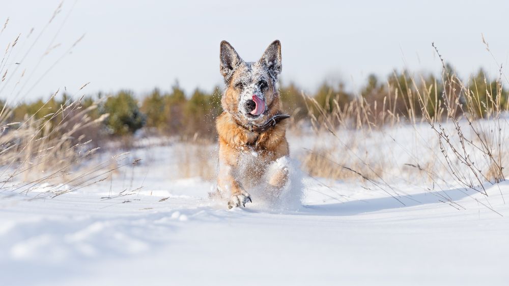 Photograph by Ильяс Бекмансуров