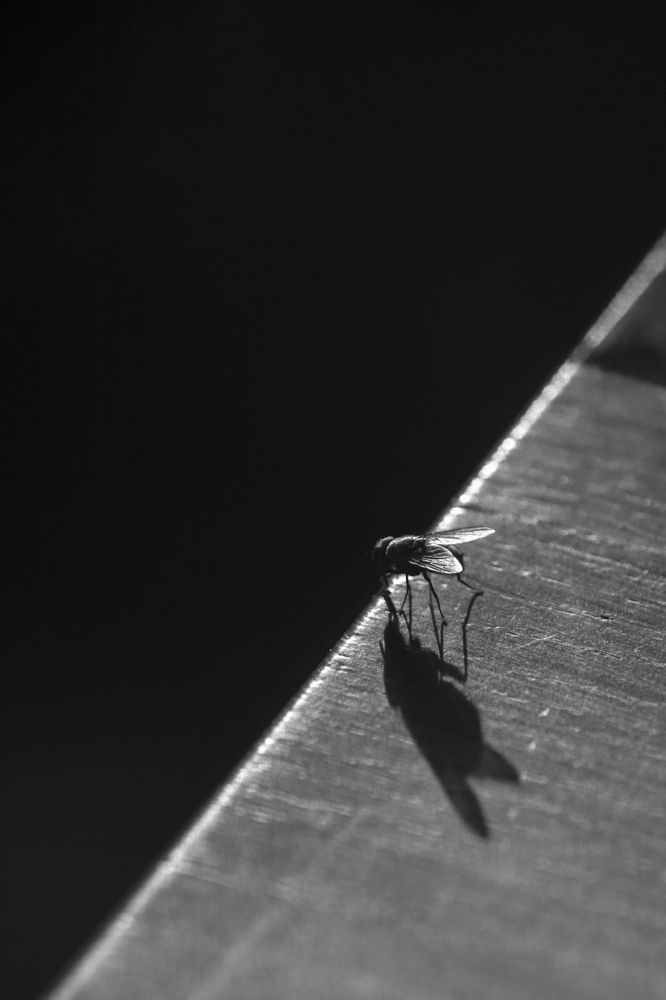 Фотография автора Uljana Kuchar