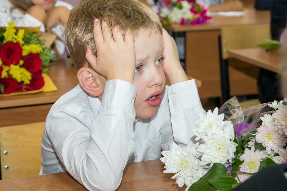 11 лет в школе....