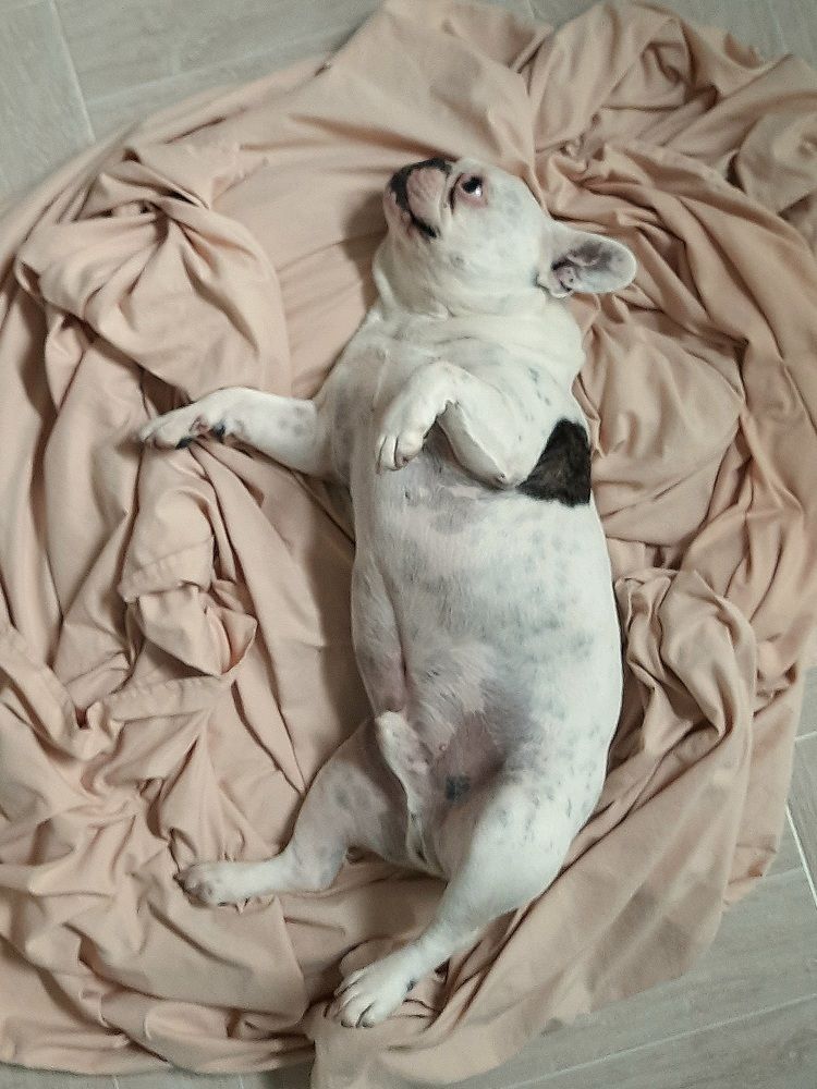 Photograph by Мария Кузьмина