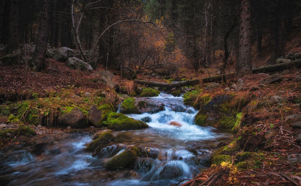 Photograph by Светлана Краюшкина