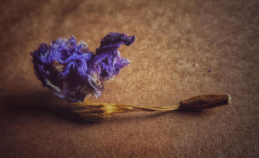 Photograph by Инга Сабанова