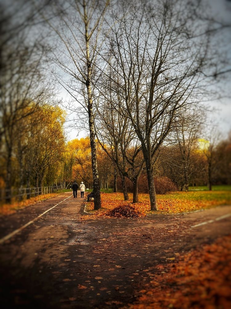Photograph by Екатерина Бочарова