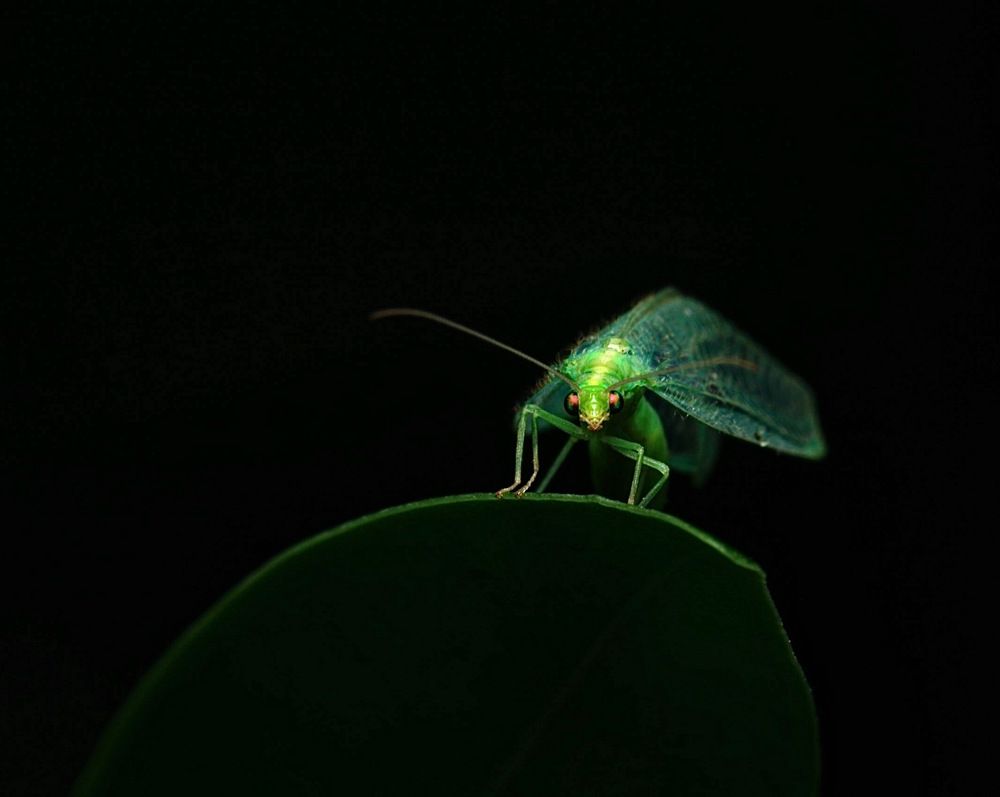 Photograph by Роман Турсков