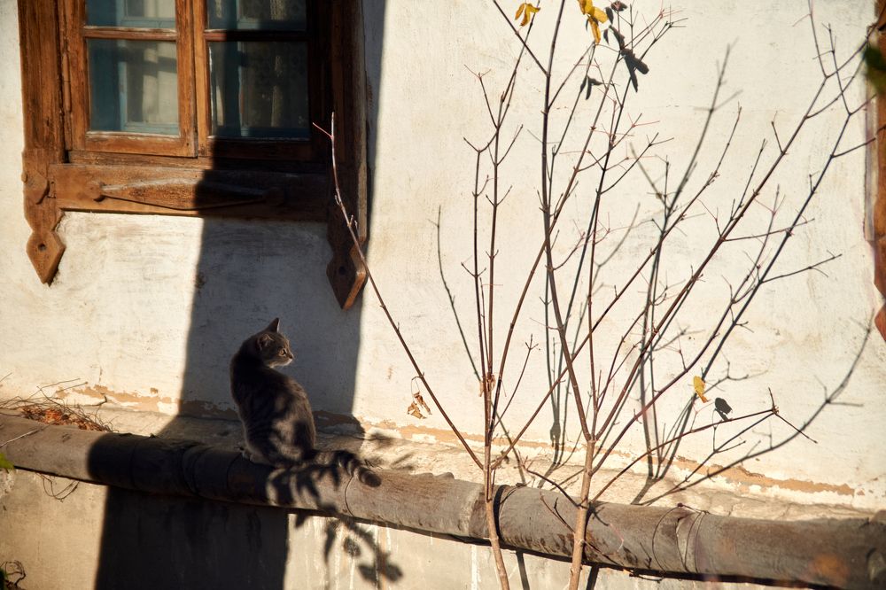 Photograph by Миха Скутин