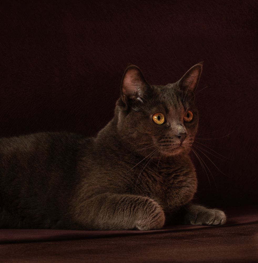 Photograph by Ольга Бакурская