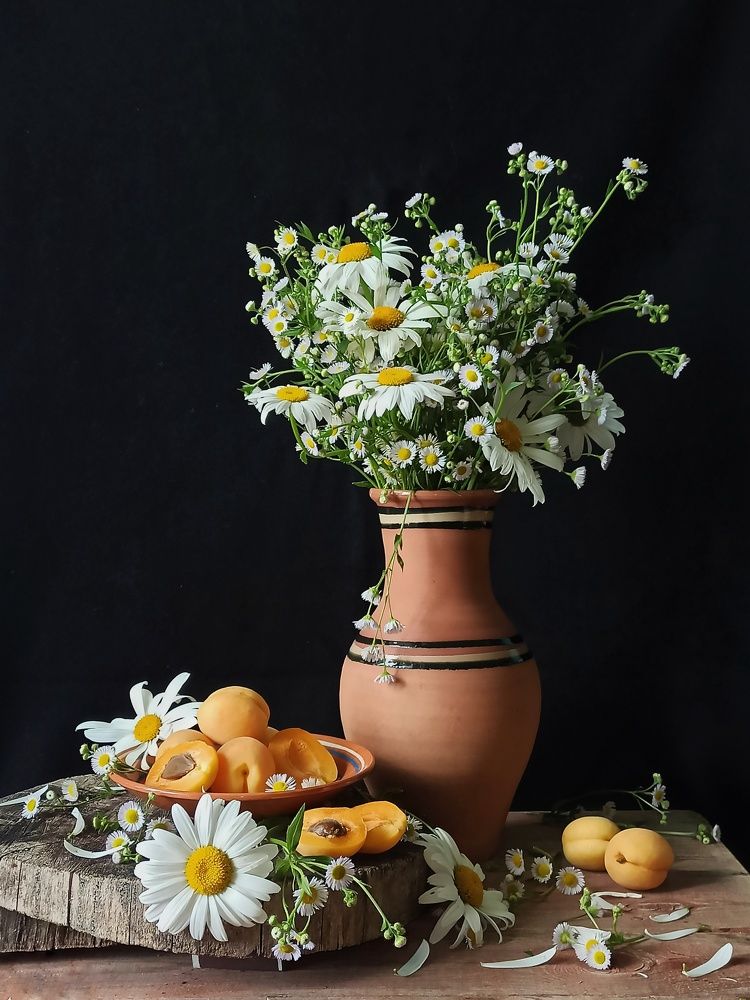 Photograph by Новикова Елена Сергеевна