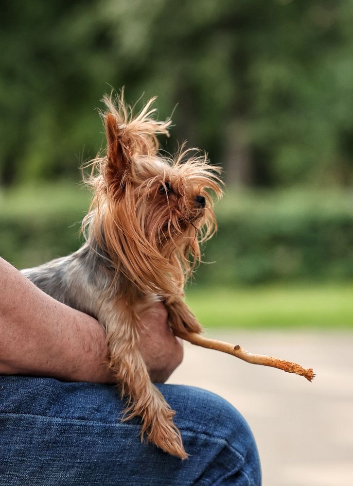 Photograph by Мария Поливода