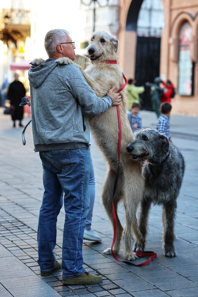 Photograph by Мария Поливода