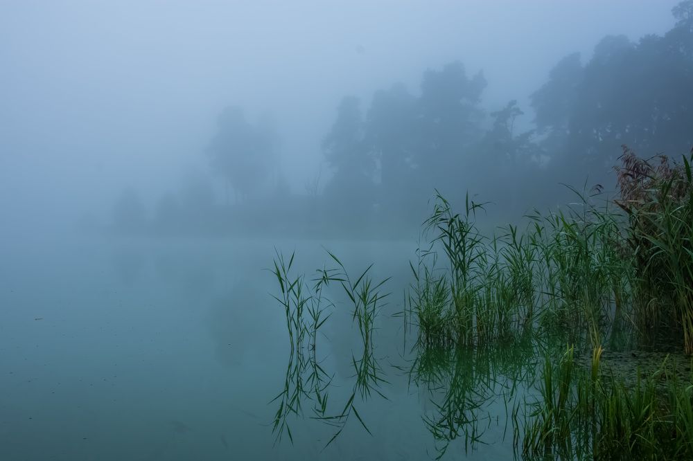 Утро туманное.