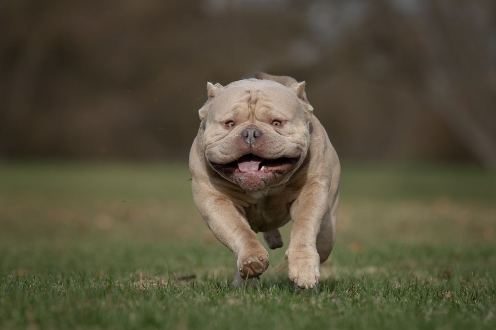 Photograph by Maria Komratova