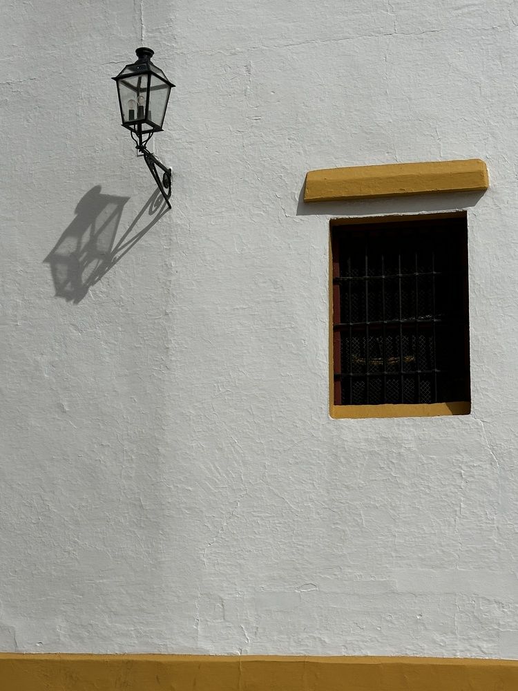 Photograph by Шевалье Татьяна