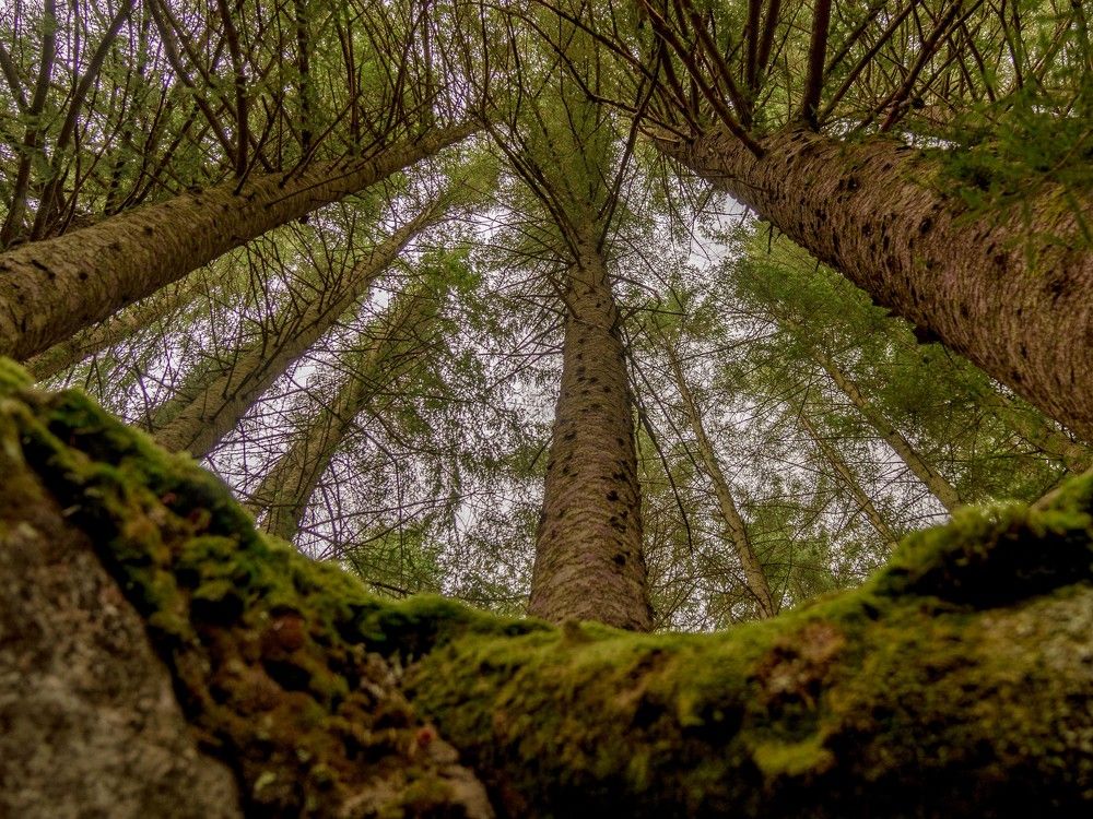 Photograph by Susanna Kari