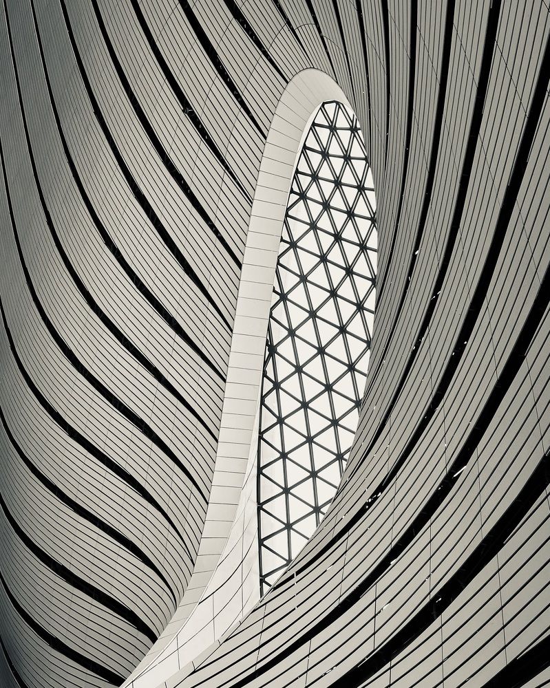 Photograph by Шевалье Татьяна