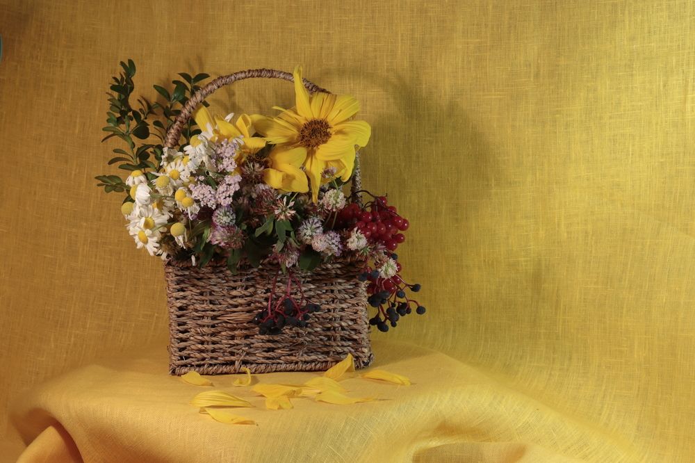 Photograph by Светлана Соколова