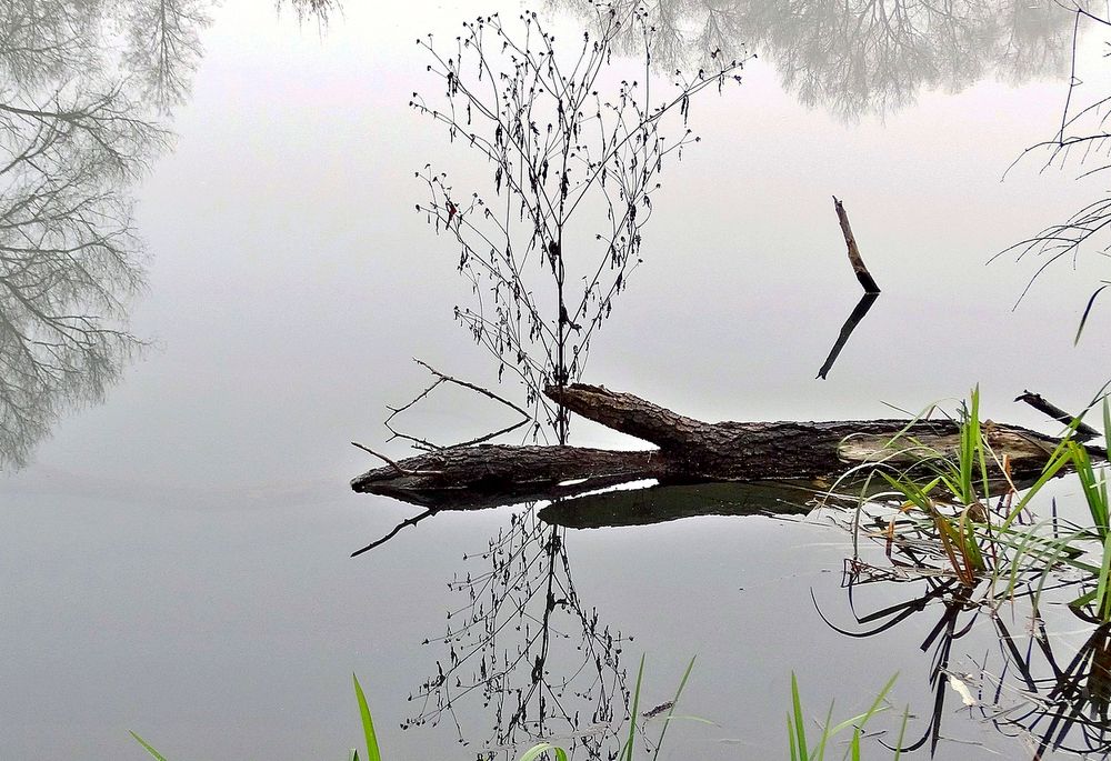В осеннюю пору