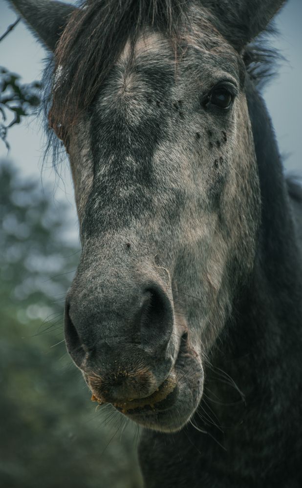 Photograph by mamad javan